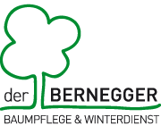 Der Bernegger: Ihr Spezialist für Baumarbeiten in Salzburg
